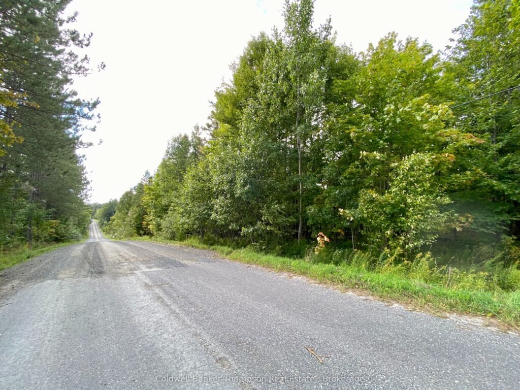 x12413632 photo 1