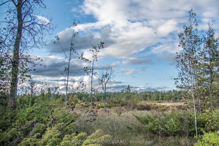 For Sale: Lot 254 McGuire Beach Road, Kawartha Lakes, ON K0M 2B0, Kawartha Lakes, ON x12446377 photo 1
